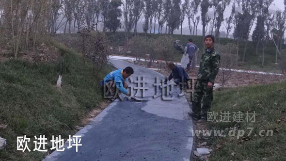 彩色壓模地坪-歐進地坪www.2oof.cn